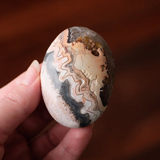 Crazy Lace Agate Palm | Mexican Crazy Lace Crystal Palm