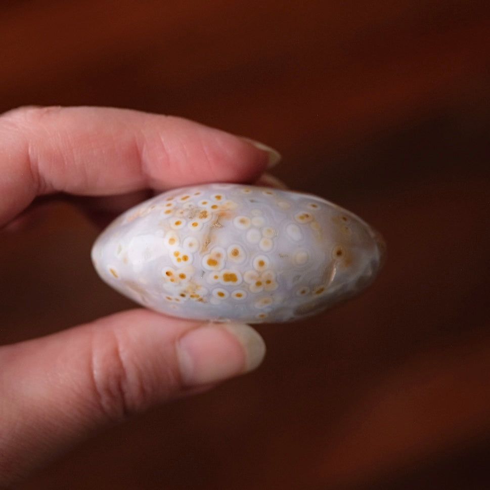 Old Stock Ocean Jasper Palm | Orbicular OJ Crystal Palmstone
