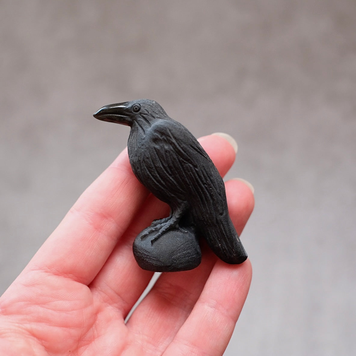 Black Obsidian Raven Carving | Crystal Crow Halloween Crystal
