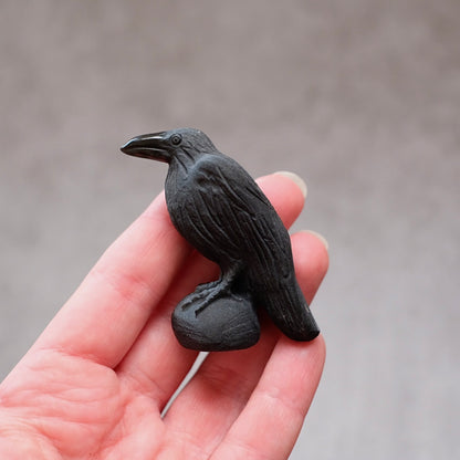 Black Obsidian Raven Carving | Crystal Crow Halloween Crystal