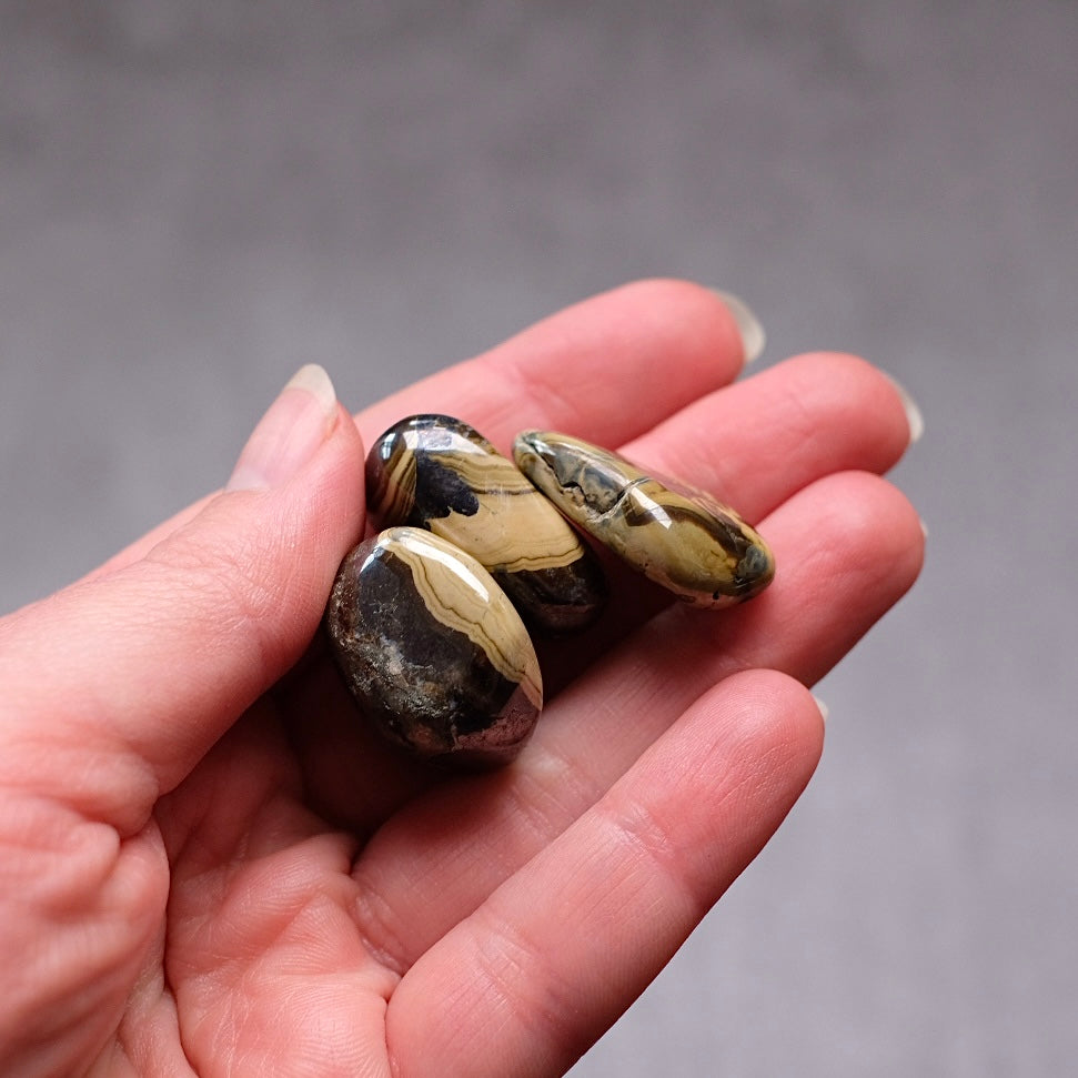 Schalenblende Tumble | Rare Tumbled Crystal | Pocket Stone