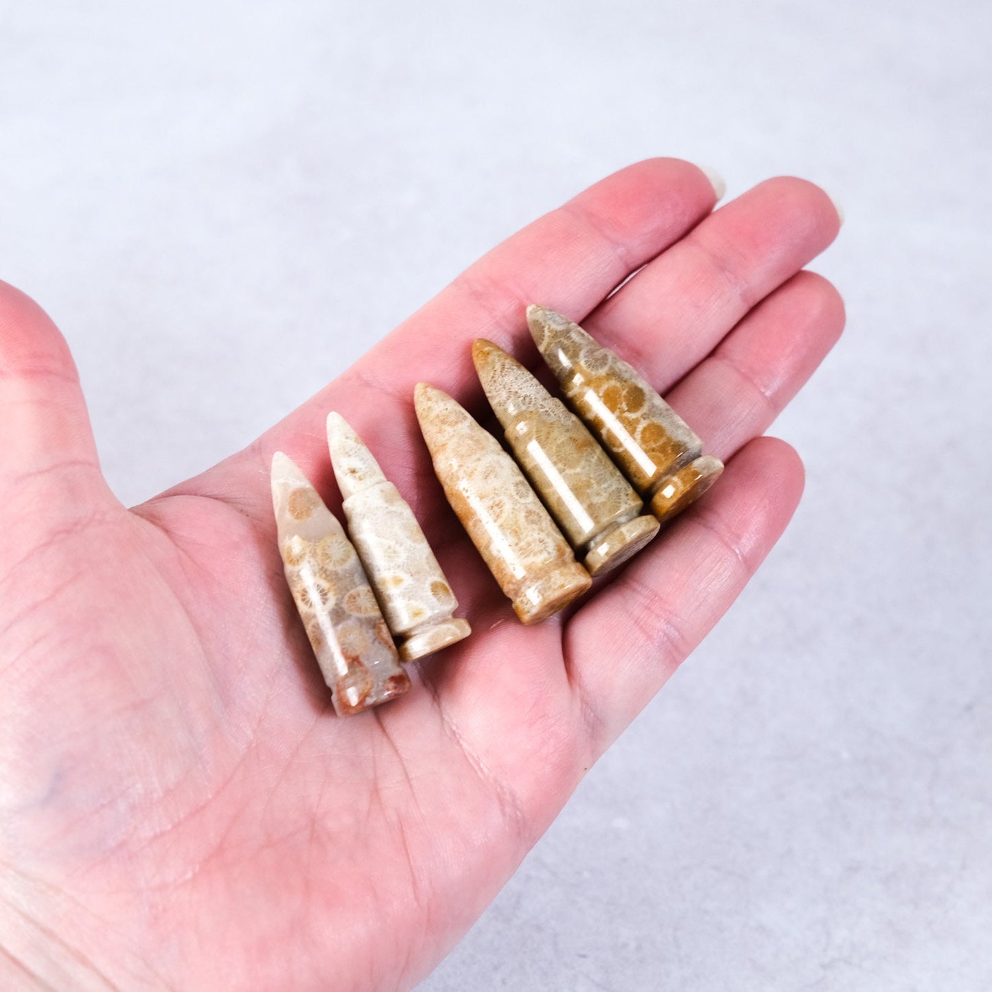 Coral Fossil Bullet | Coral Jasper Crystal Bullets