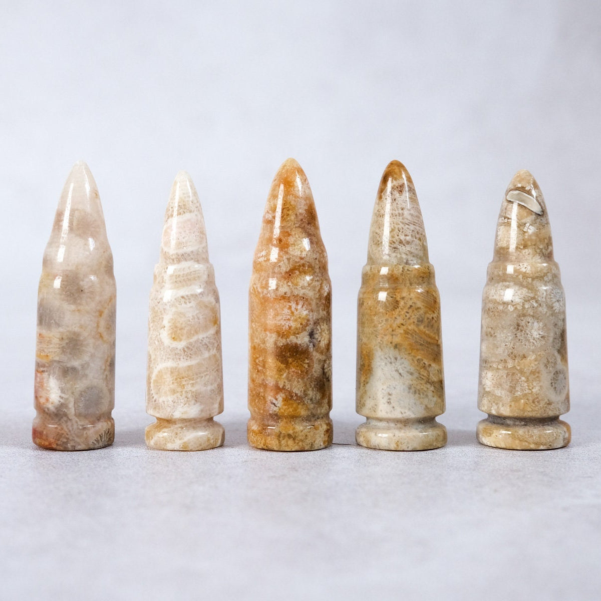 Coral Fossil Bullet | Coral Jasper Crystal Bullets