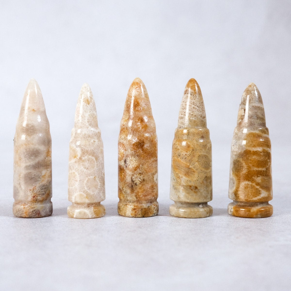 Coral Fossil Bullet | Coral Jasper Crystal Bullets