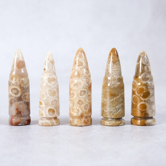 Coral Fossil Bullet | Coral Jasper Crystal Bullets