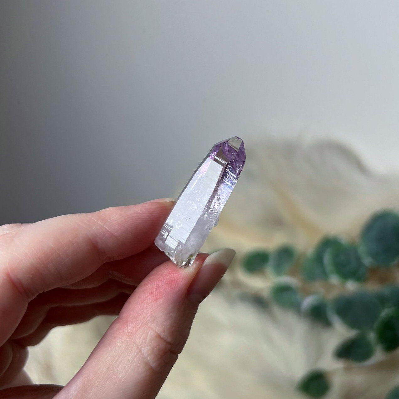 Vera Cruz Amethyst Point | Amethyst Crystal Specimen