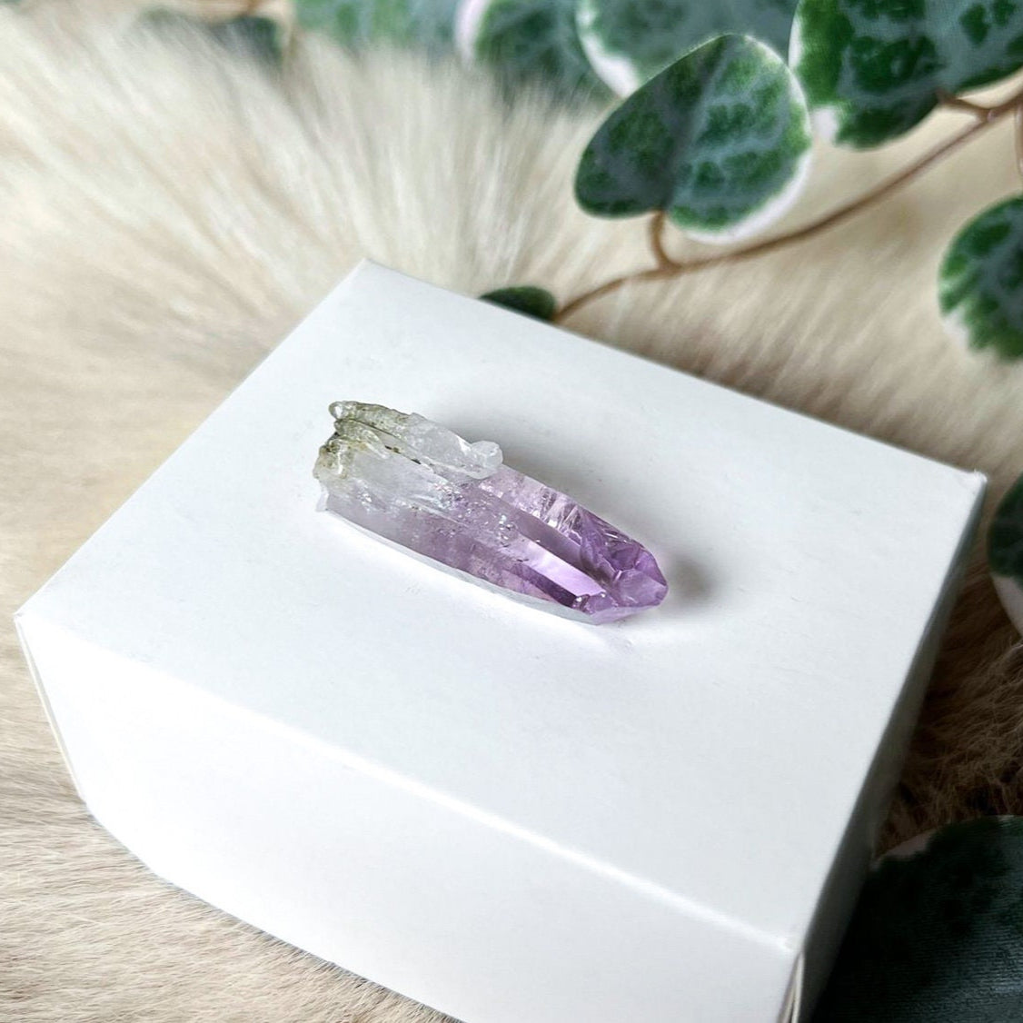 Vera Cruz Amethyst Point | Amethyst Crystal Specimen