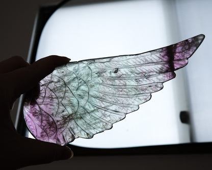 Fluorite Angel Wings Display | Crystal Wings & Stand