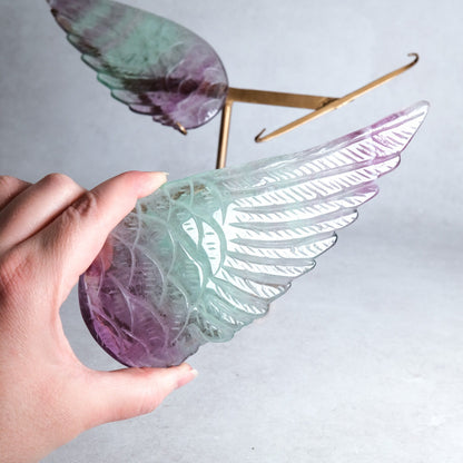 Fluorite Angel Wings Display | Crystal Wings & Stand