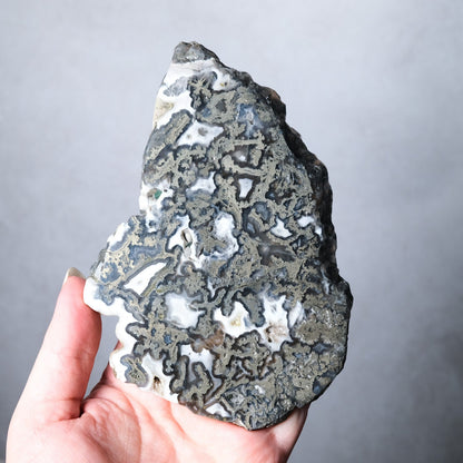 Marcasite (Pyrite) in Agate Crystal Slab