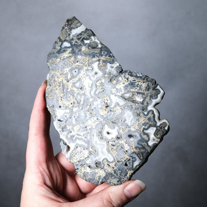 Marcasite (Pyrite) in Agate Crystal Slab