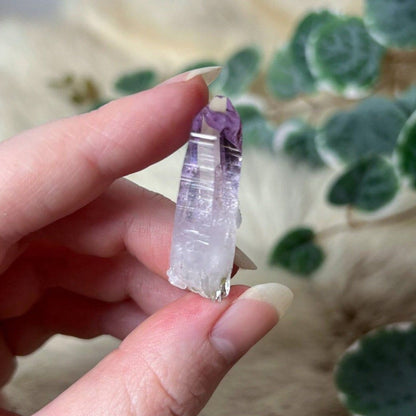 Vera Cruz Amethyst Point | Amethyst Crystal Specimen