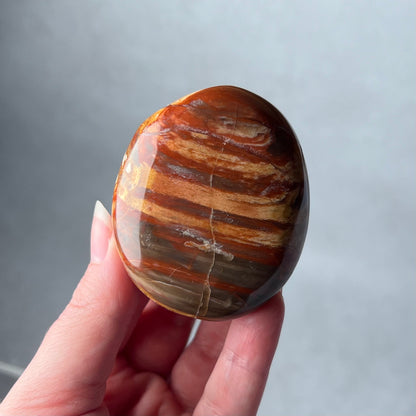 Petrified Wood Palm | Fossilized Wood Crystal Palmstone