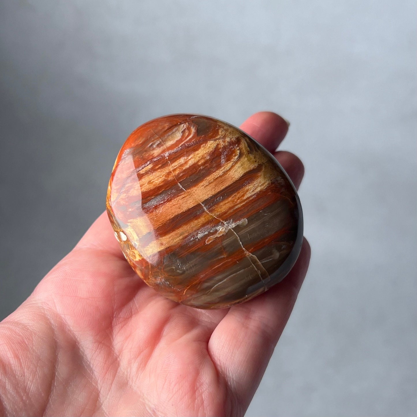 Petrified Wood Palm | Fossilized Wood Crystal Palmstone