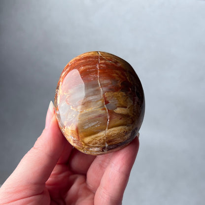 Petrified Wood Palm | Fossilized Wood Crystal Palmstone