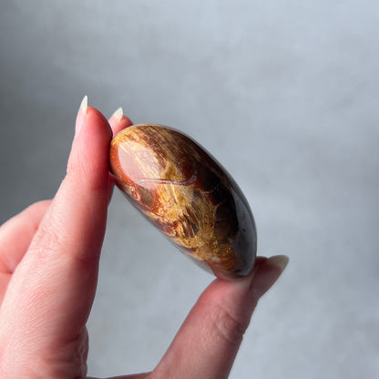 Petrified Wood Palm | Fossilized Wood Crystal Palmstone