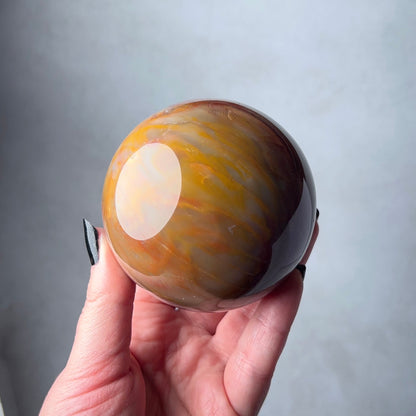 Petrified Wood Sphere | Fossilized Wood Crystal Sphere