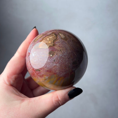 Petrified Wood Sphere | Fossilized Wood Crystal Sphere