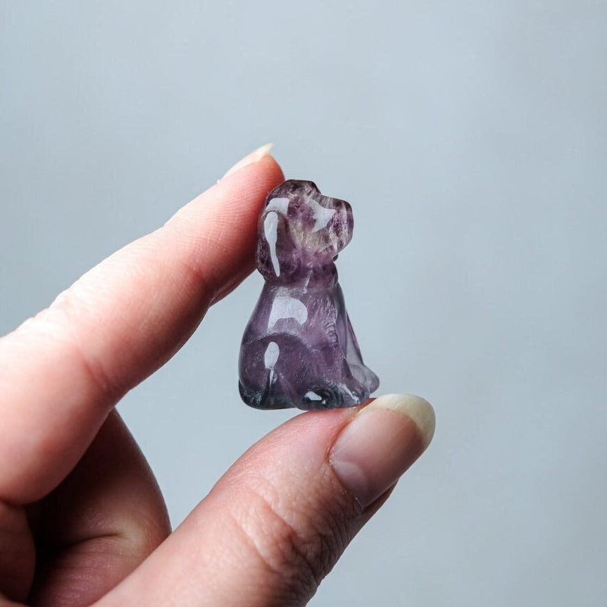 Fluorite Dog Carving | Mini Crystal Dog