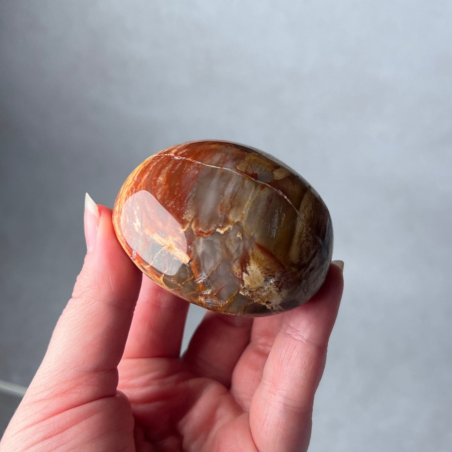 Petrified Wood Palm | Fossilized Wood Crystal Palmstone