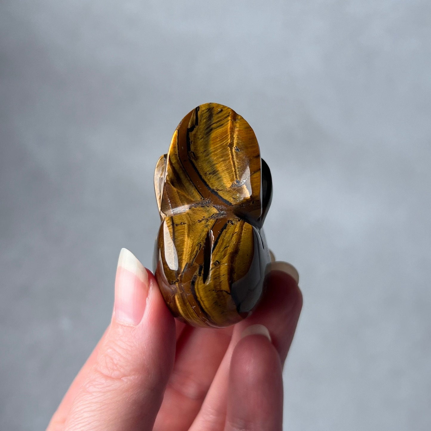 Tiger Eye Crystal Skull | Tigers Eye Skull