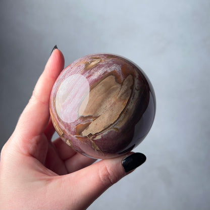 Petrified Wood Sphere | Fossilized Wood Crystal Sphere