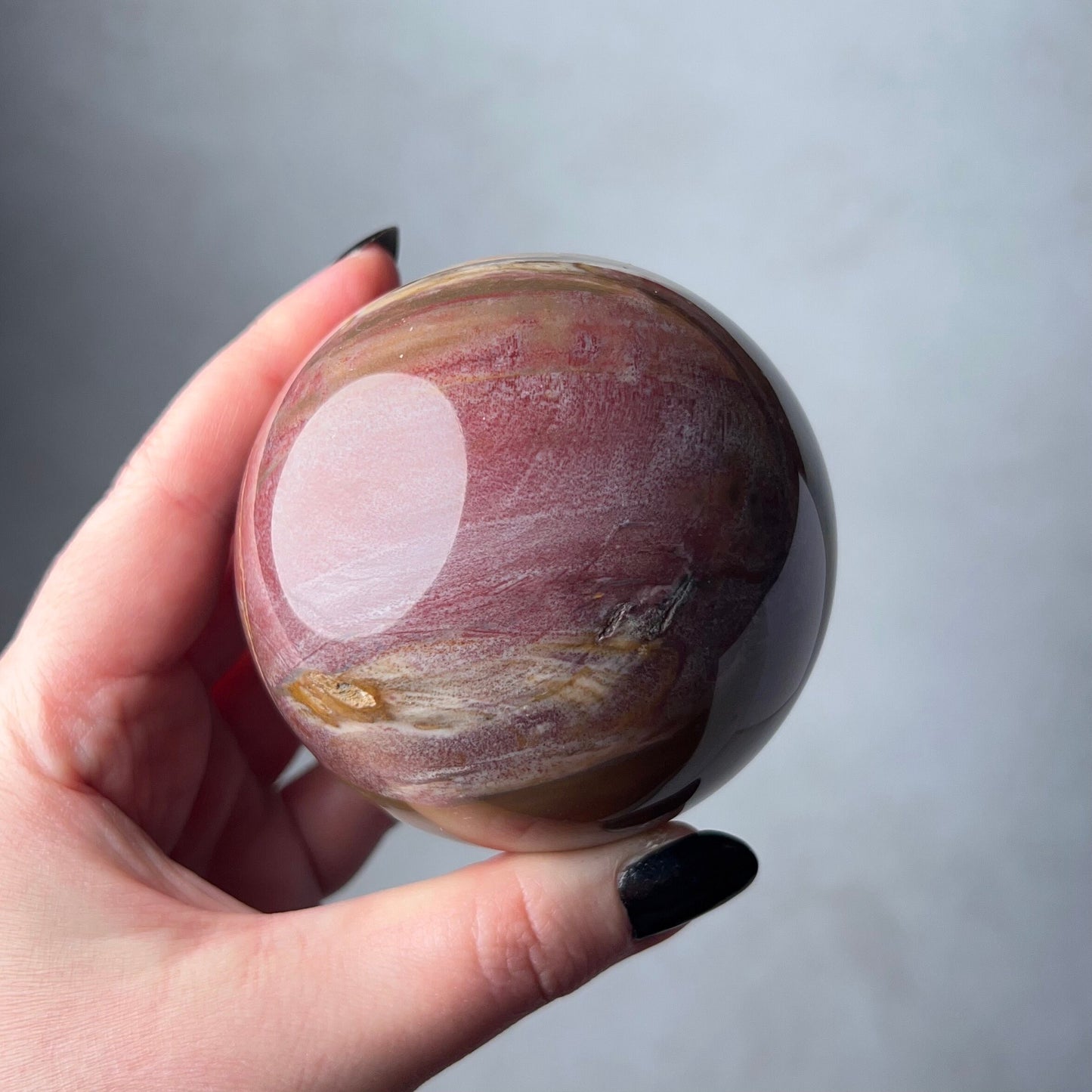 Petrified Wood Sphere | Fossilized Wood Crystal Sphere