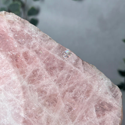 Australian Morganite Polished Slab | Crystal Slab