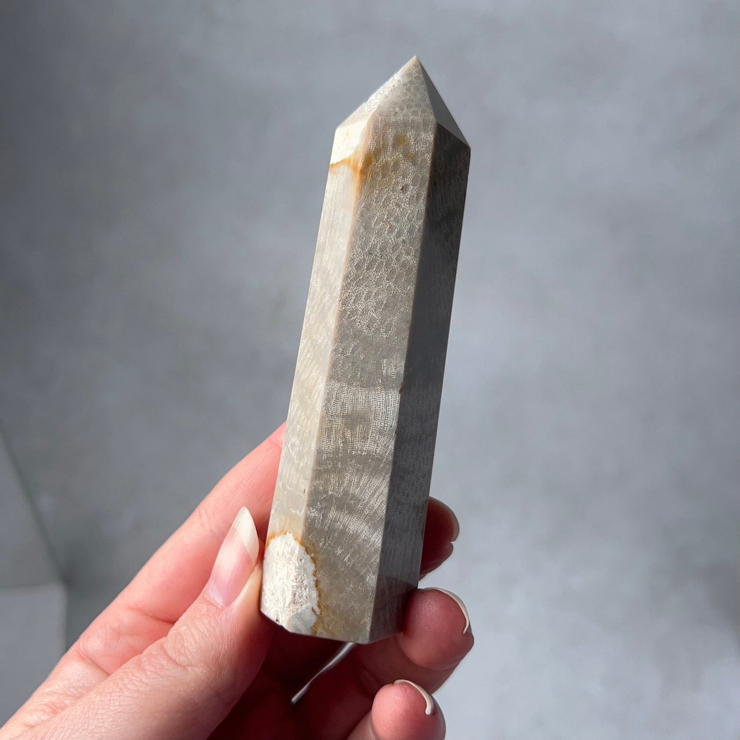 Coral Fossil Point | Coral Crystal Tower