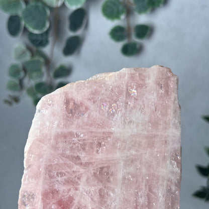 Australian Morganite Polished Slab | Crystal Slab