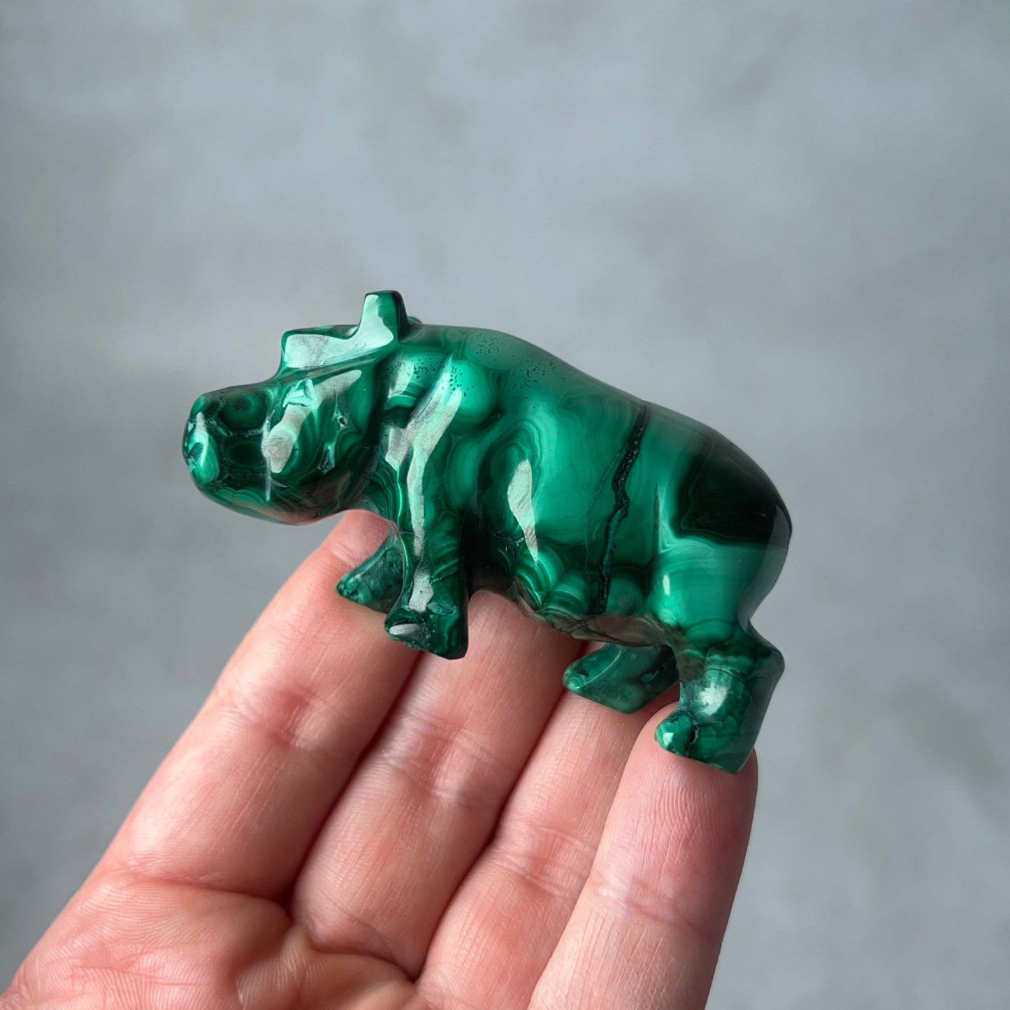 Malachite Hippo Carving | Crystal Animal Carving | Animal Totem