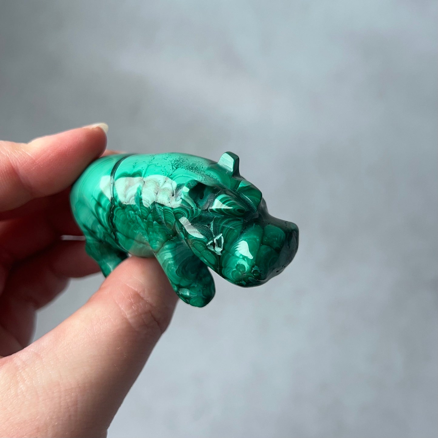 Malachite Hippo Carving | Crystal Animal Carving | Animal Totem