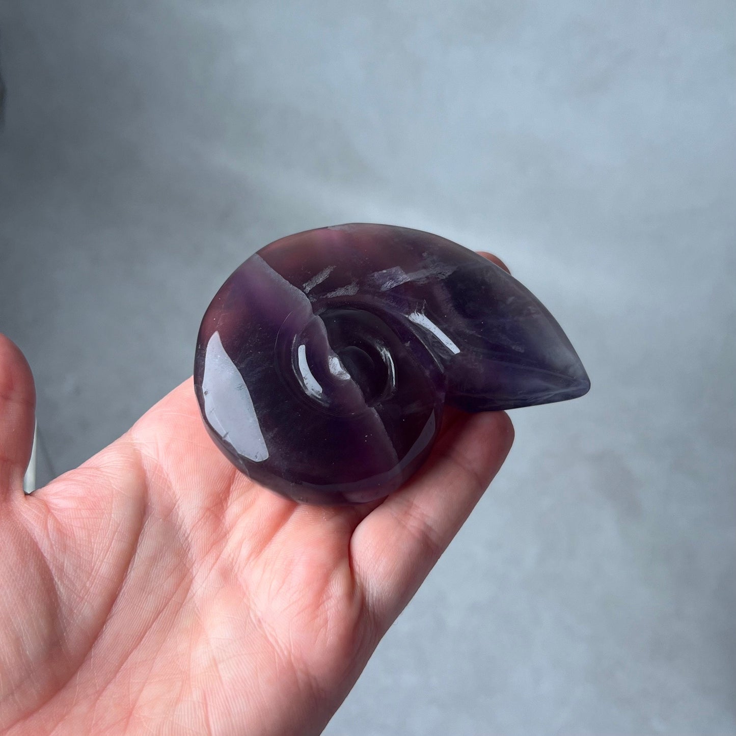 Yttrium Fluorite Ammonite Carving | Pink Fluorite Crystal Shell