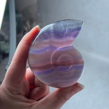 Yttrium Fluorite Ammonite Carving | Pink Fluorite Crystal Shell