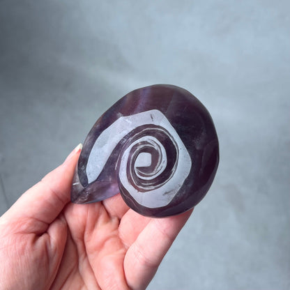 Yttrium Fluorite Ammonite Carving | Pink Fluorite Crystal Shell