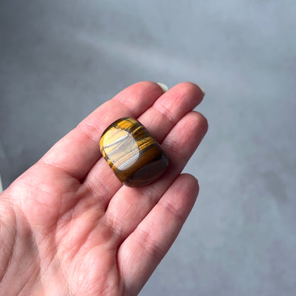 Tiger Iron Tumble | Tiger Eye Crystal Tumbled Stone