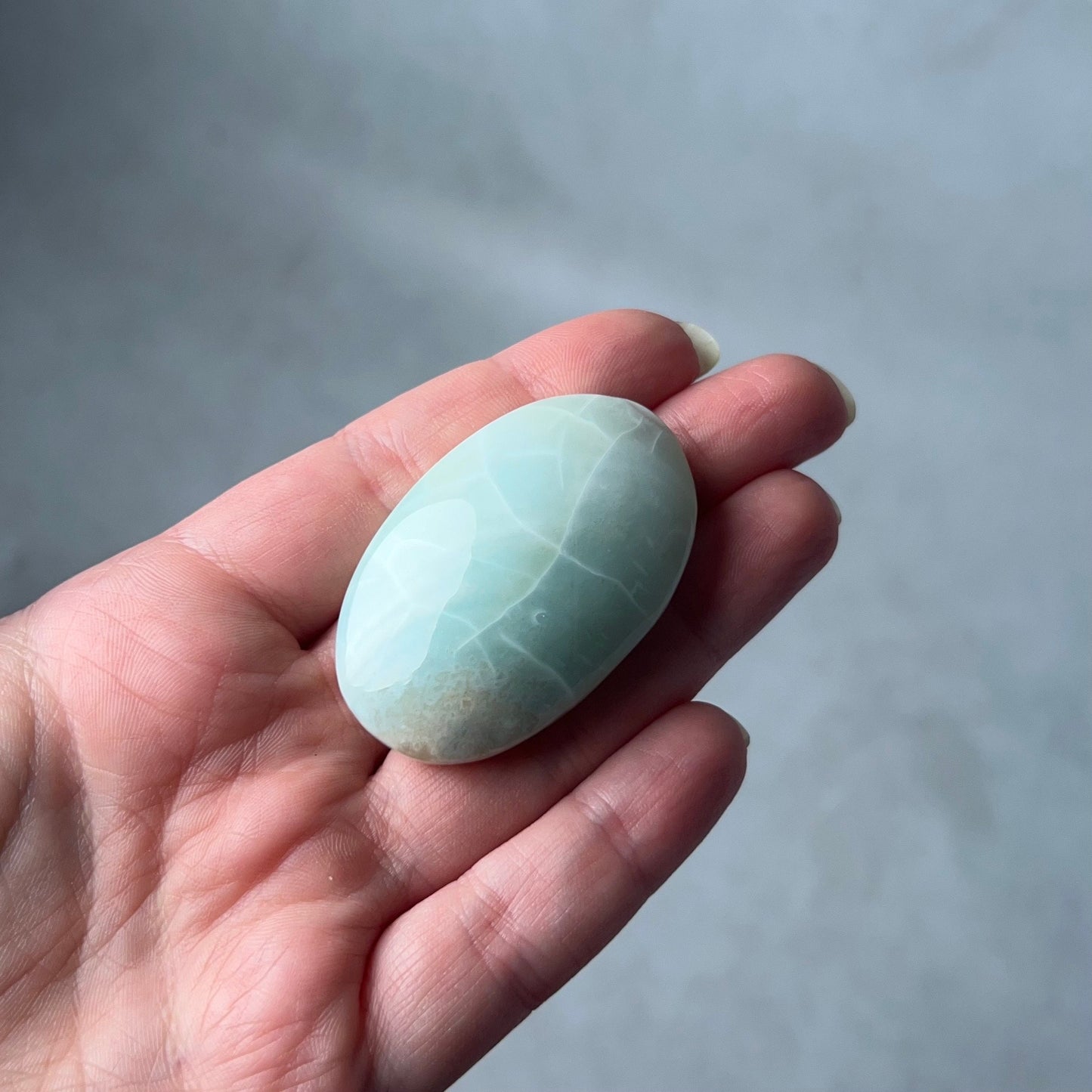 Rare Blue Flower Agate Palm | Green Flower Agate Palm