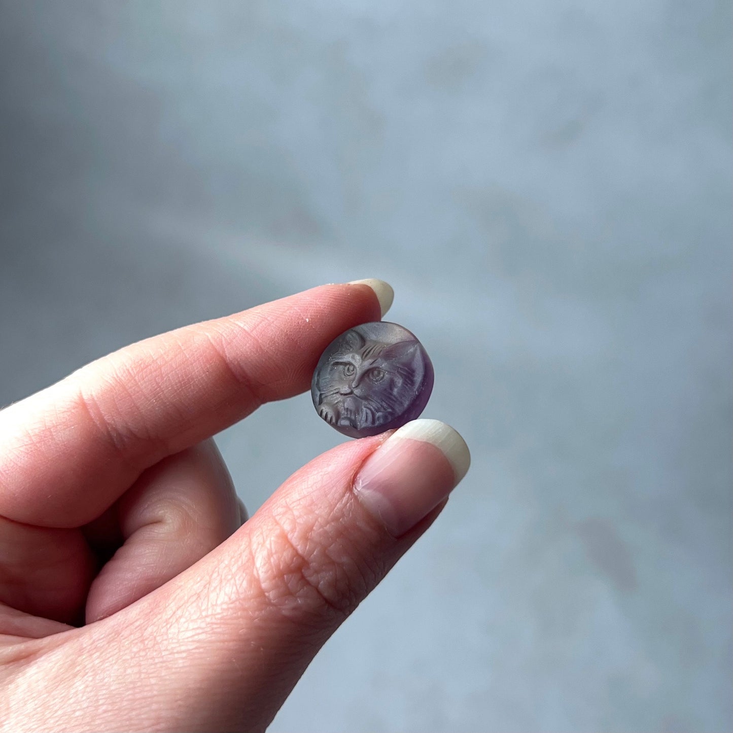 You Choose! Mini Fluorite Cat Carvings | Crystal Minis