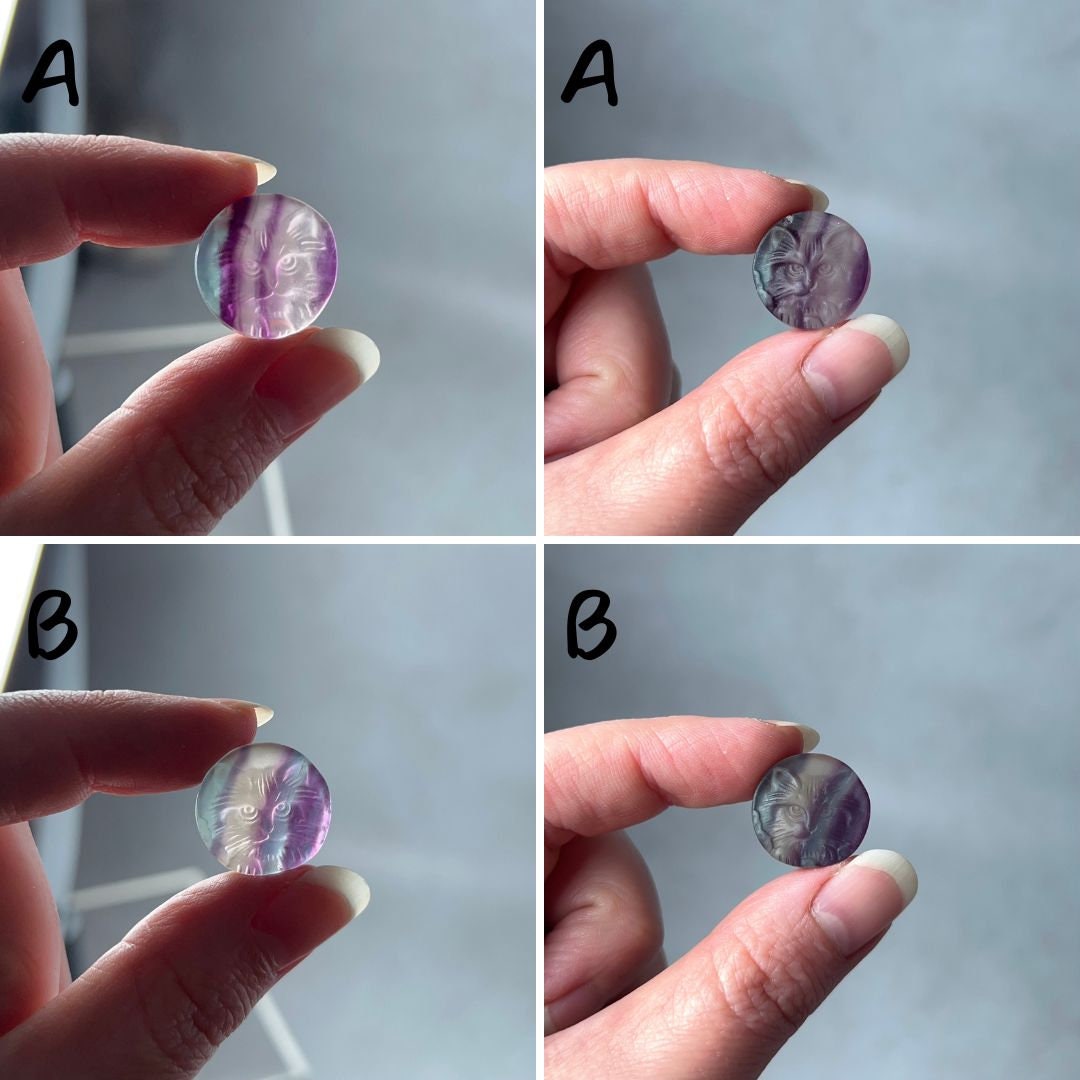 You Choose! Mini Fluorite Cat Carvings | Crystal Minis