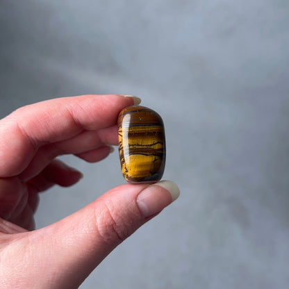 Tiger Iron Tumble | Tiger Eye Crystal Tumbled Stone