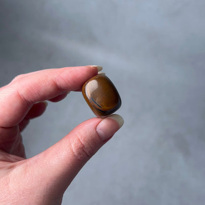 Tiger Iron Tumble | Tiger Eye Crystal Tumbled Stone