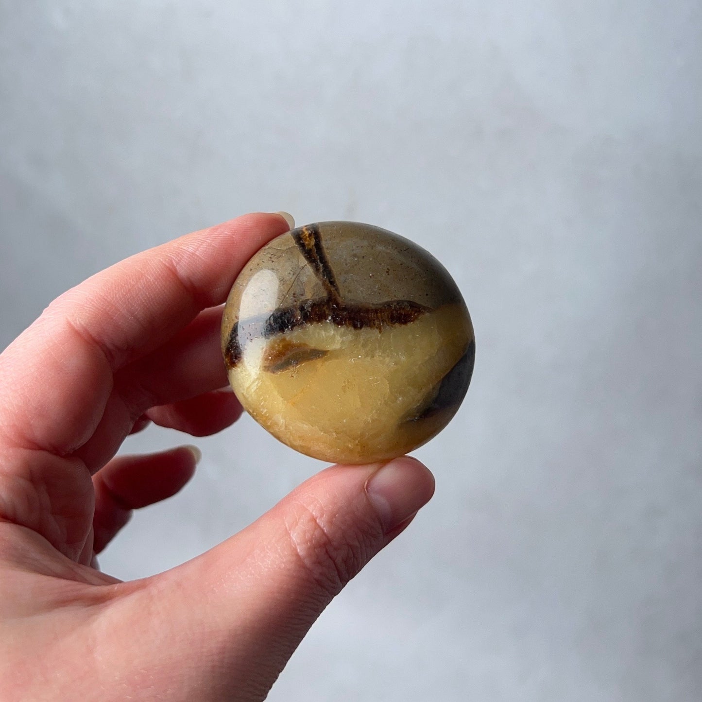 Septarian Palm | Dragon Septarian Crystal Palmstone