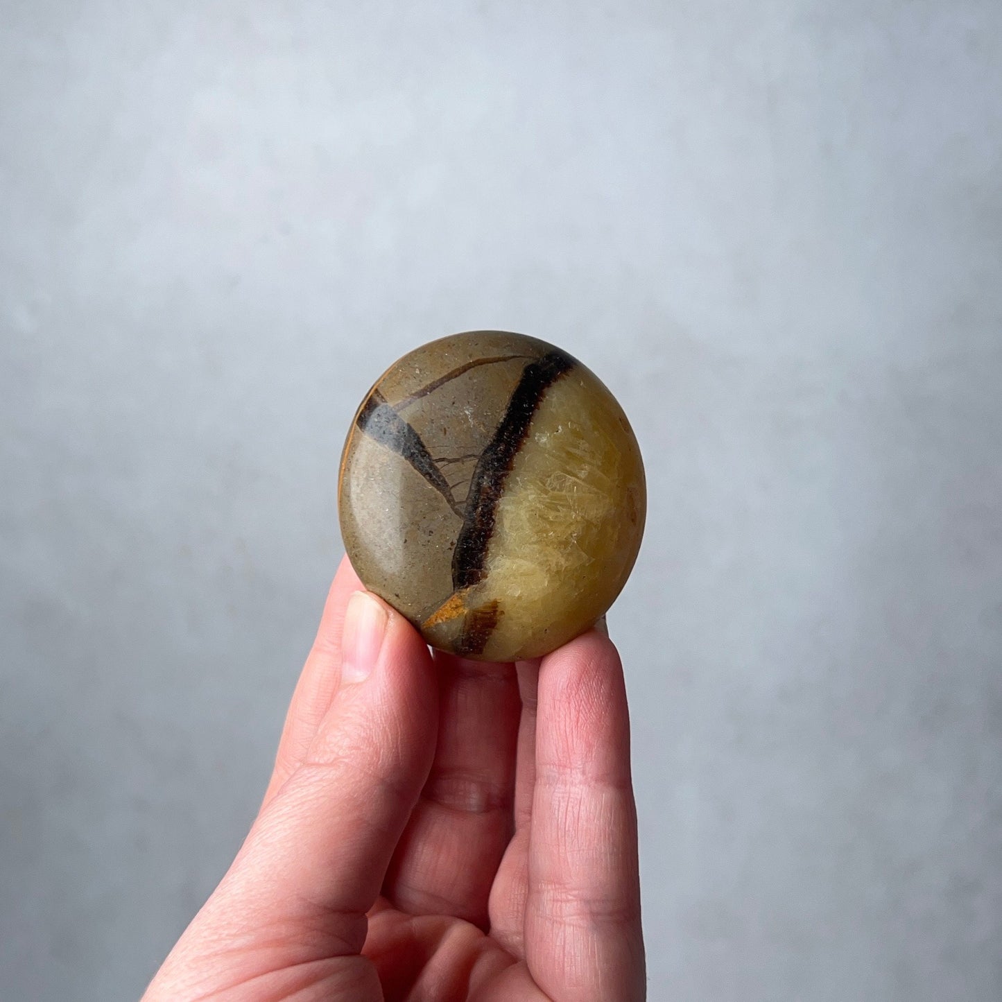 Septarian Palm | Dragon Septarian Crystal Palmstone