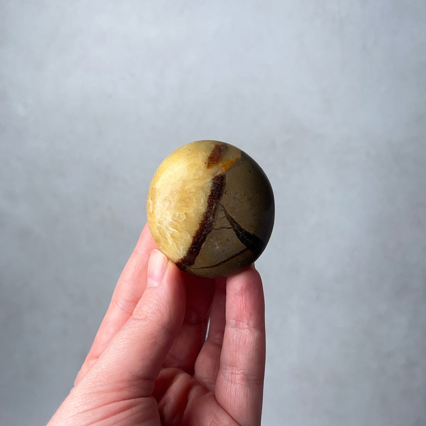 Septarian Palm | Dragon Septarian Crystal Palmstone