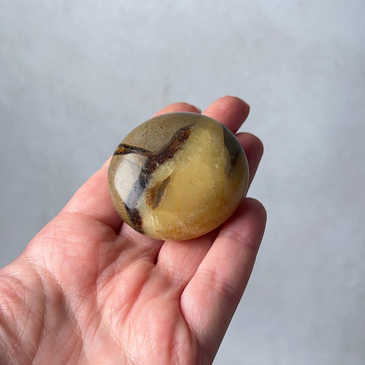 Septarian Palm | Dragon Septarian Crystal Palmstone