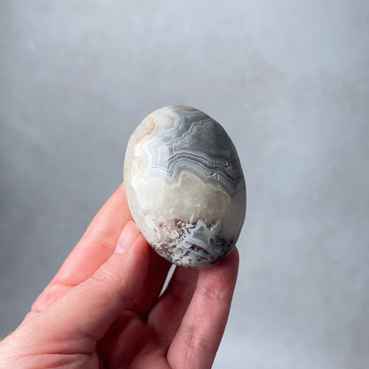 Grey Crazy Lace Agate Palm | Mexican Crazy Lace Crystal Palm