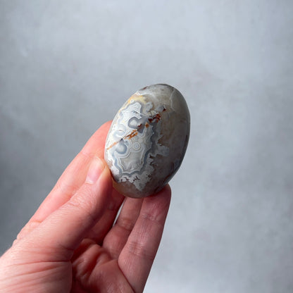 Grey Crazy Lace Agate Palm | Mexican Crazy Lace Crystal Palm