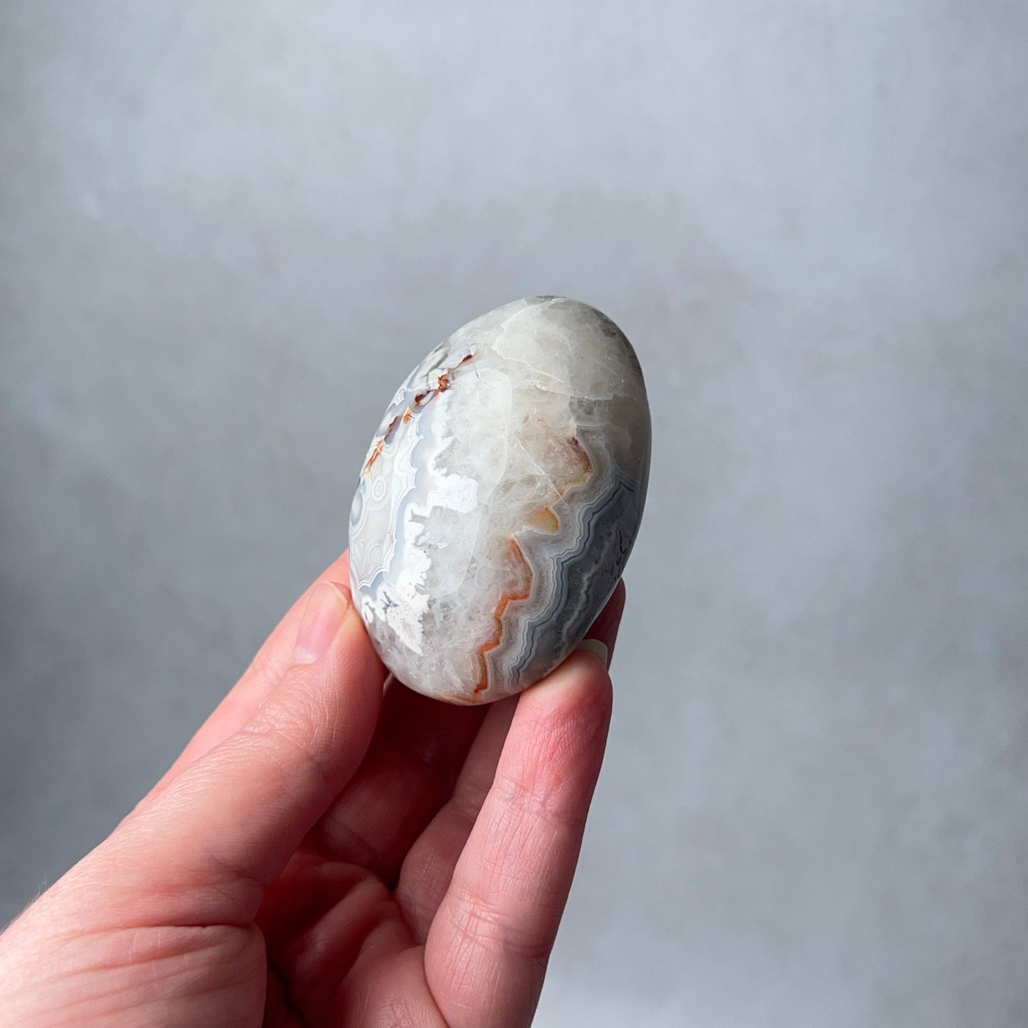 Grey Crazy Lace Agate Palm | Mexican Crazy Lace Crystal Palm