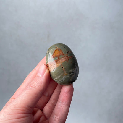 Ibis Jasper Palm | Brecciated Jasper Crystal Palmstone