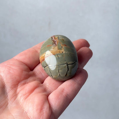 Ibis Jasper Palm | Brecciated Jasper Crystal Palmstone